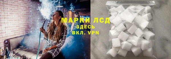 прущие грибы Пестово