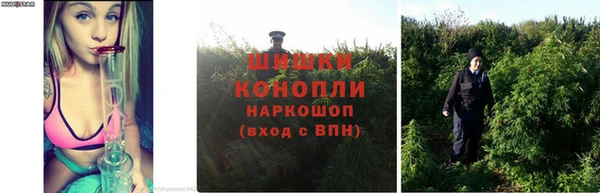 ALPHA PVP Переславль-Залесский