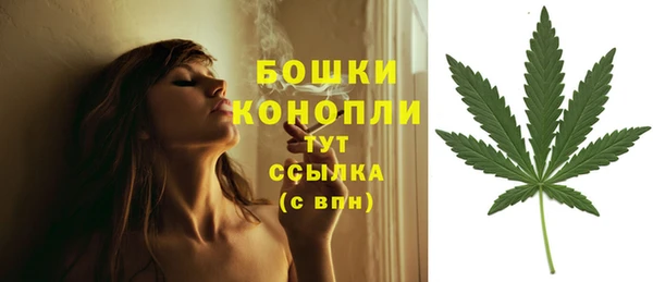 гидра Воткинск