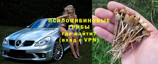 ALPHA PVP Переславль-Залесский