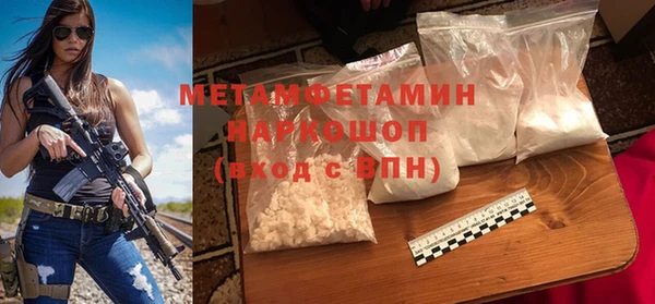прущие грибы Пестово