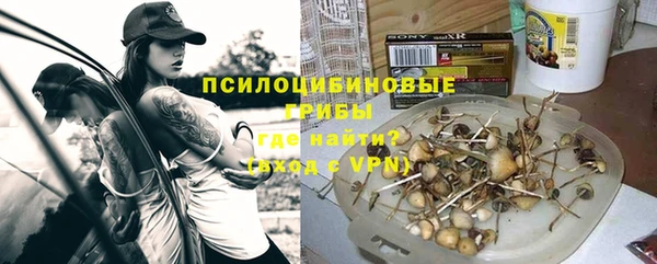 прущие грибы Вуктыл