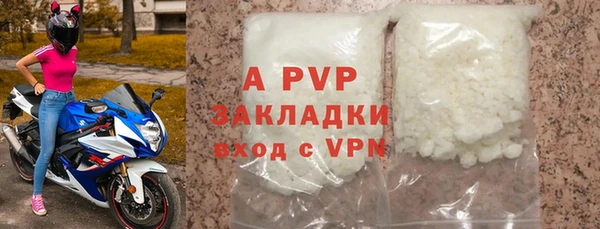 прущие грибы Пестово
