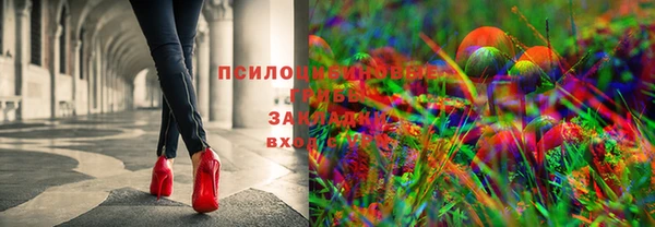 гидра Воткинск