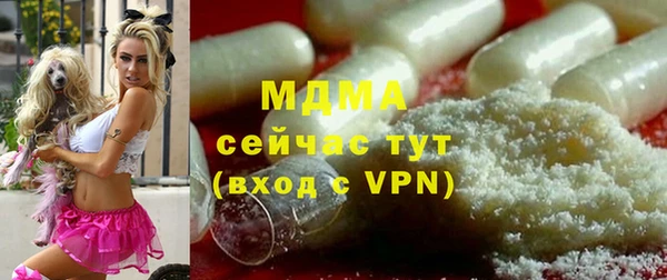прущие грибы Пестово